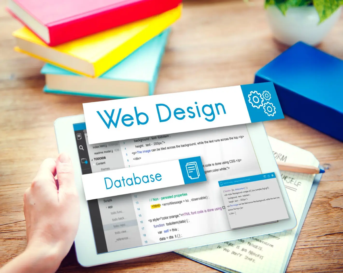 A Beginner’s Guide to Web Design
